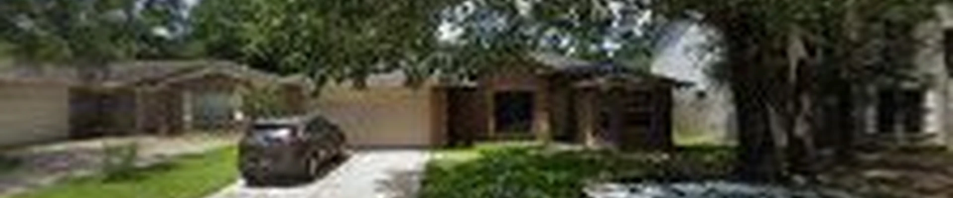 Highpoint Tree Care | Tree Service & Tree Removal in Spring, TX