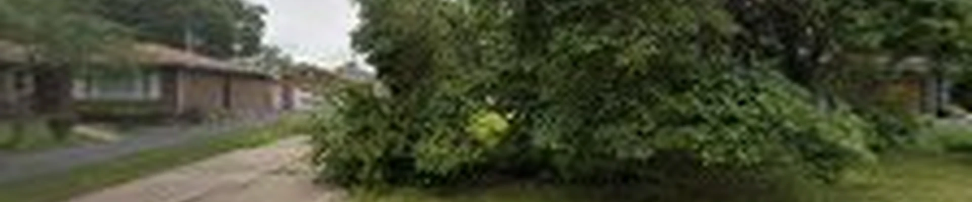 DeBolt Tree Service