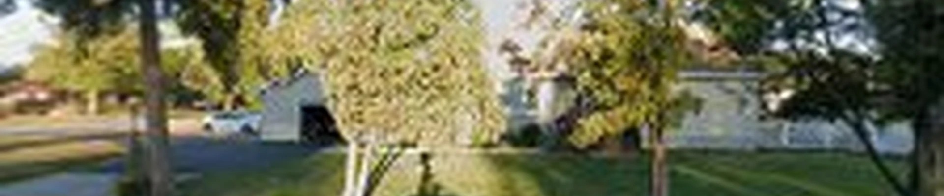 Butlers Tree Service
