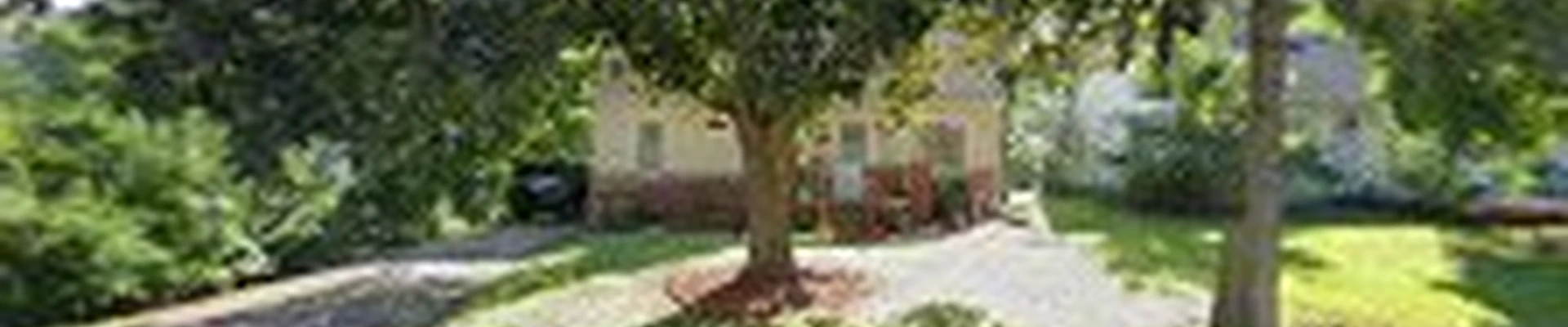 Mall's Tree Service
