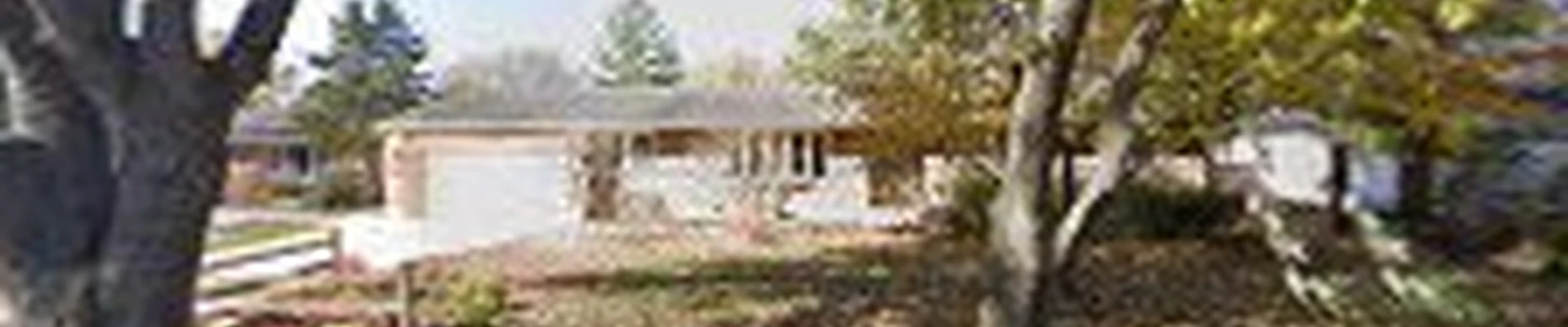 Ap Tree Service Experts, LLC
