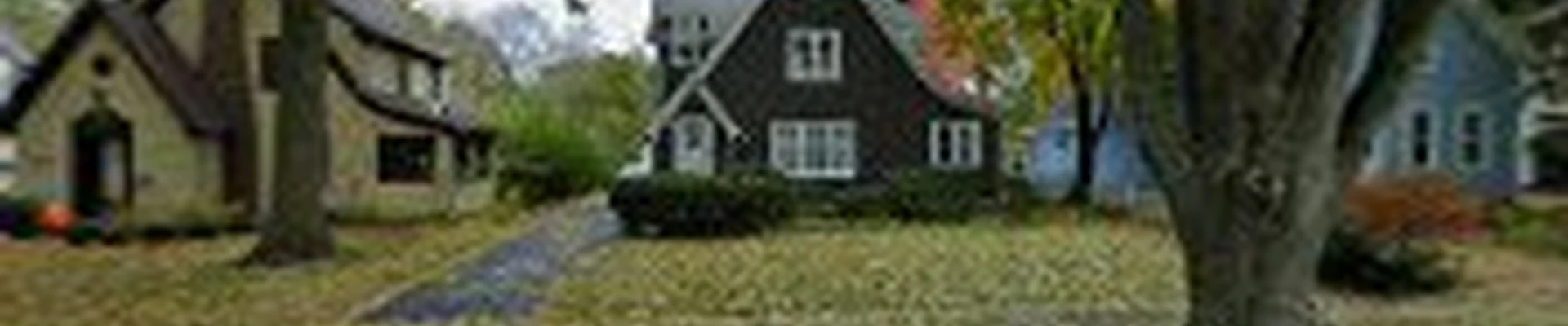 Long Branch Tree Service