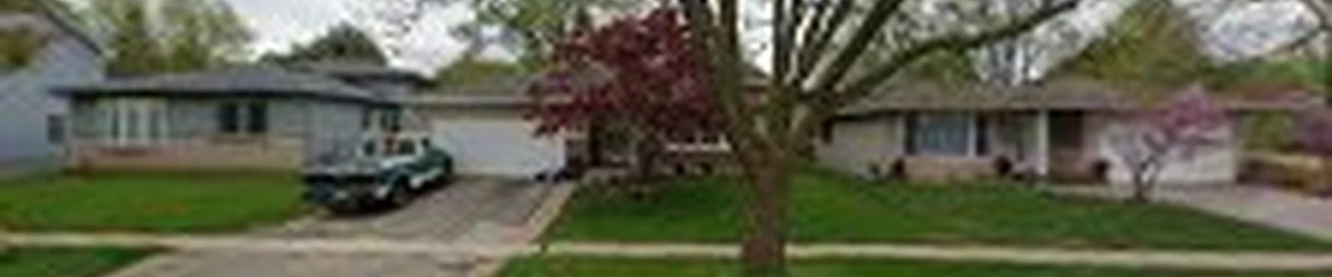 Alvarez Tree Experts