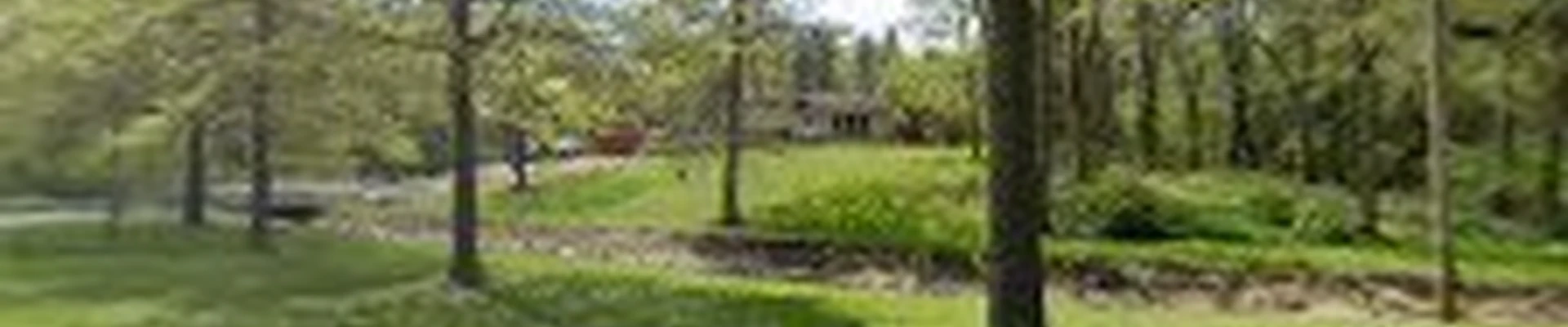 Kustom Trim Tree Service LLC