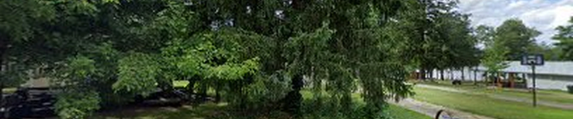 Raelynns Tree Service