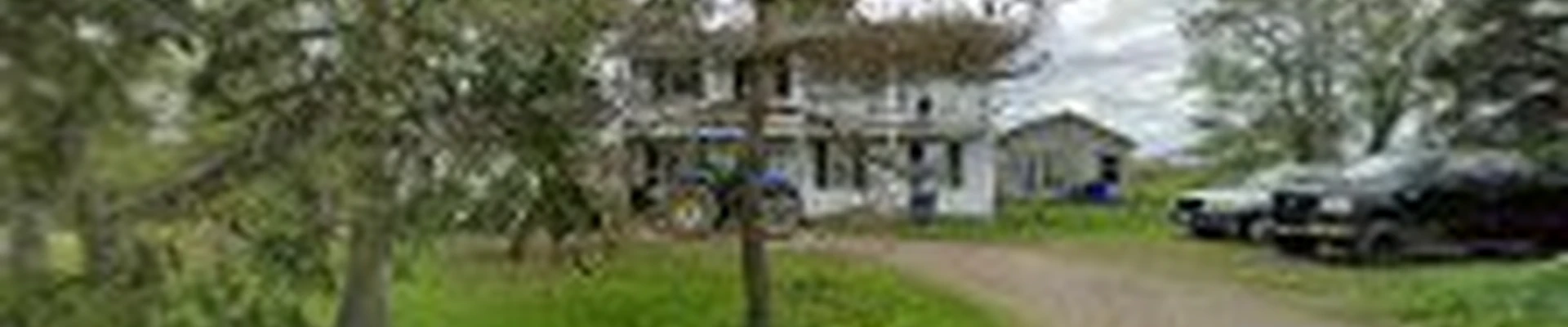 Bones Tree Care LLC