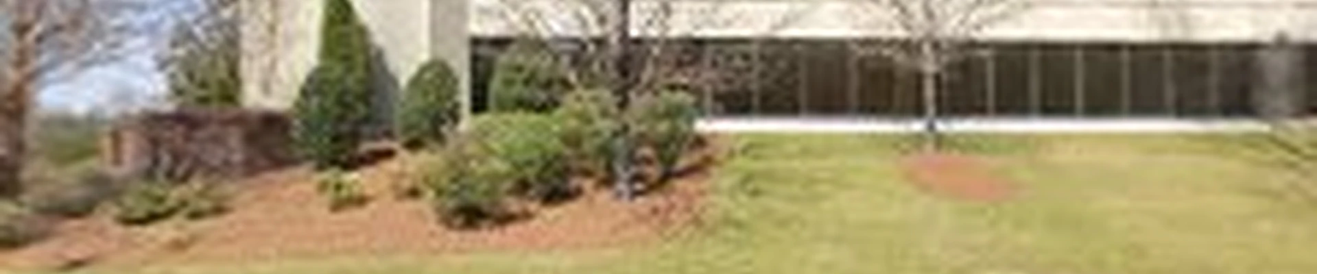 AS Tree Services