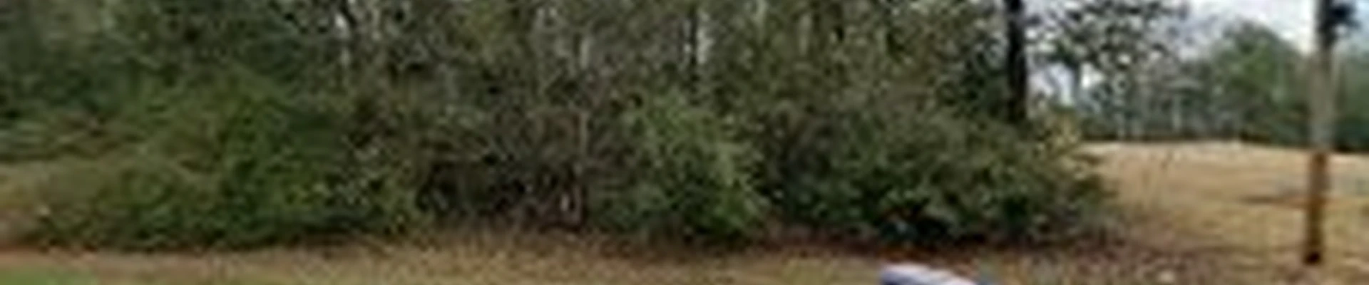 Stokes Tree Services