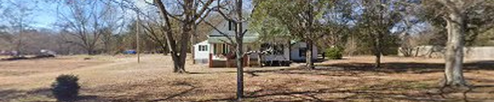 Morgan Tree Services