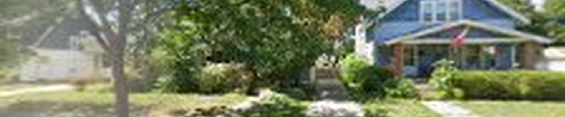 MV Tree LLC