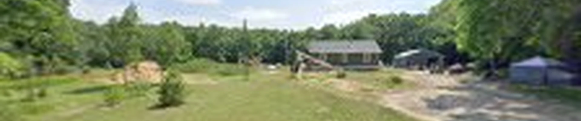 R & S Tree Service