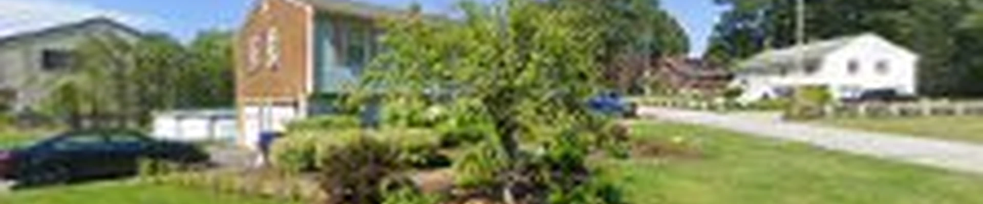 South County Tree Service