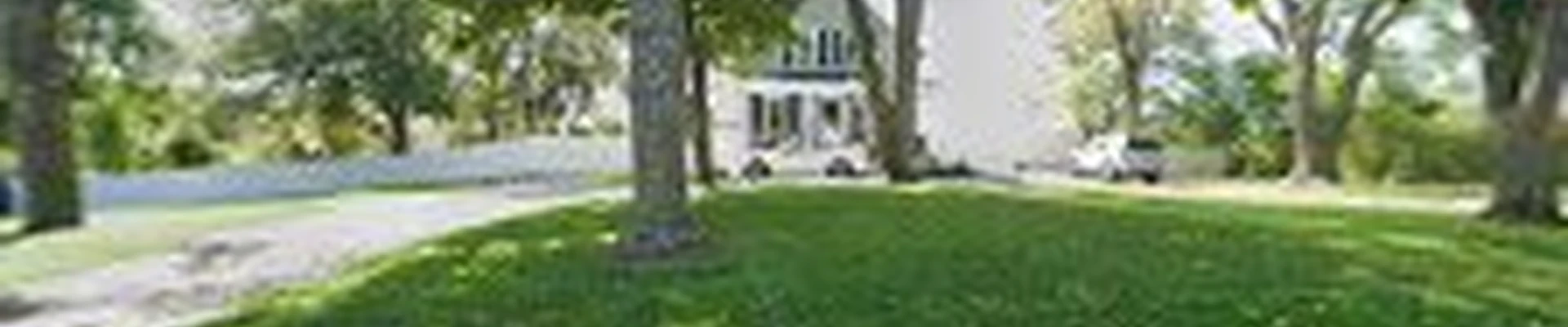 Family Tree Services