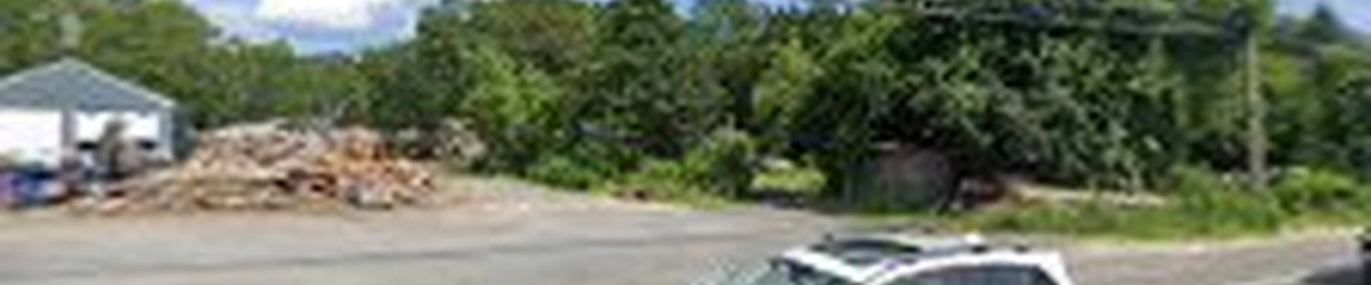 Sanford Tree Experts