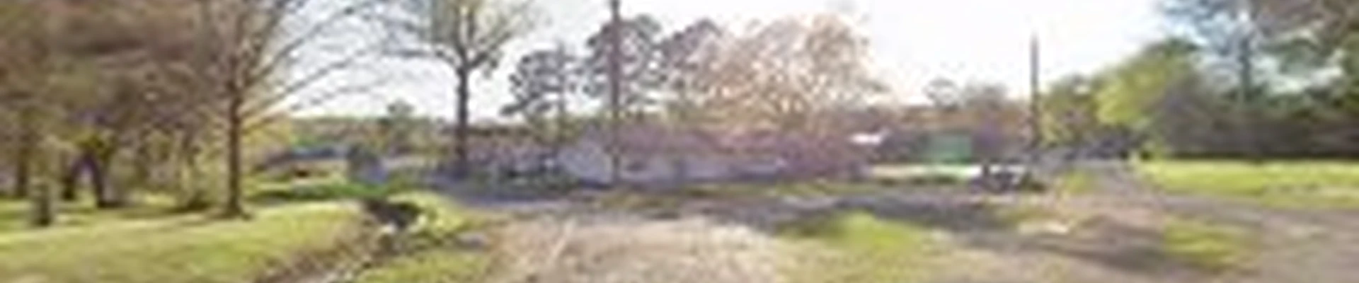 Bynog's Tree Services