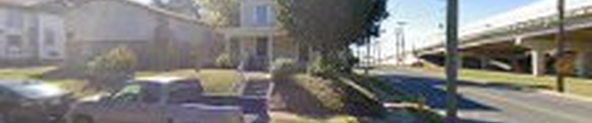 Tree Removal Services