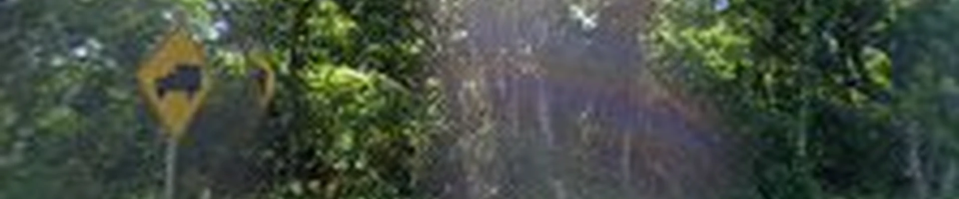 Ultimate Tree Services, Inc.