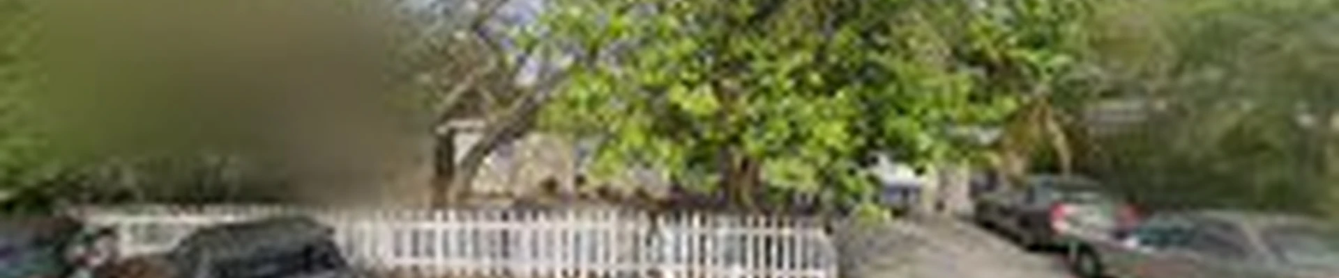 Coburn's Treelancers