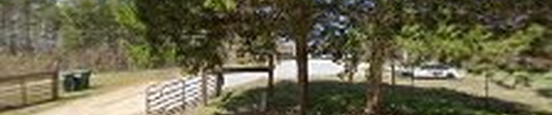 Tom's Tree Services