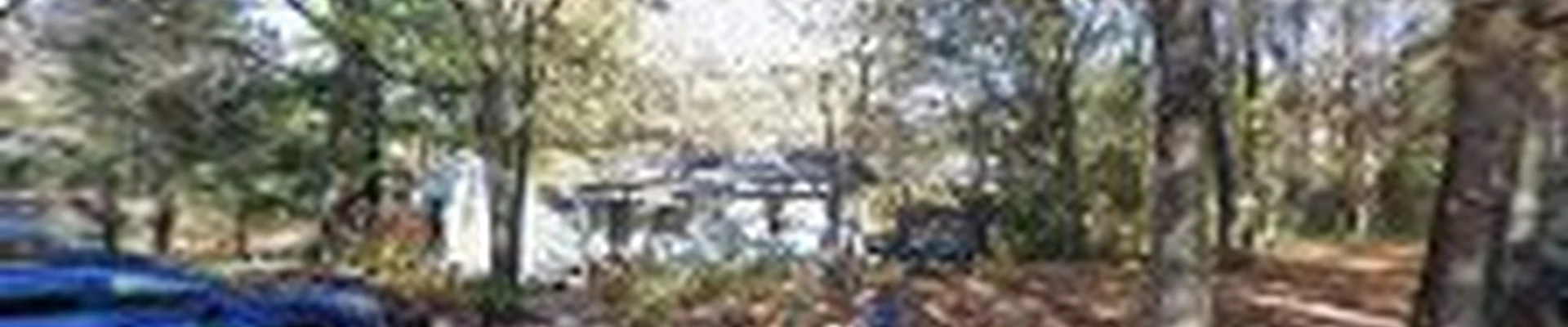 Green Rock Tree Service
