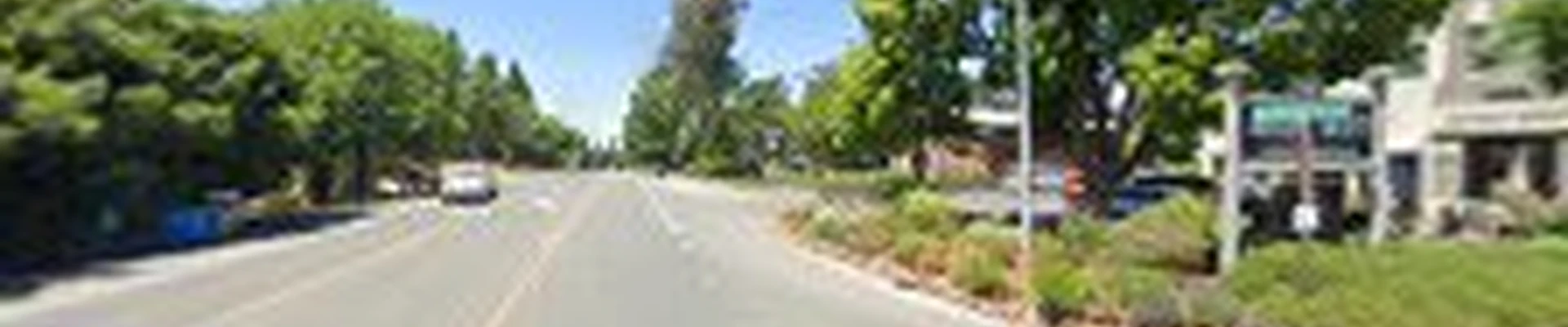 EA Tree Expert Company