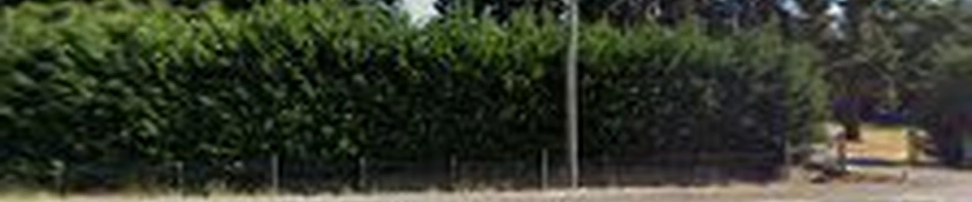 forest guard tree services