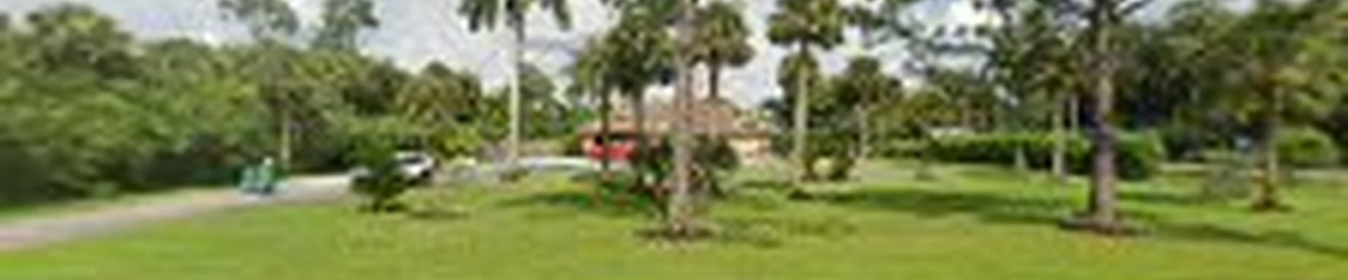Tree Scaping Of Naples Inc