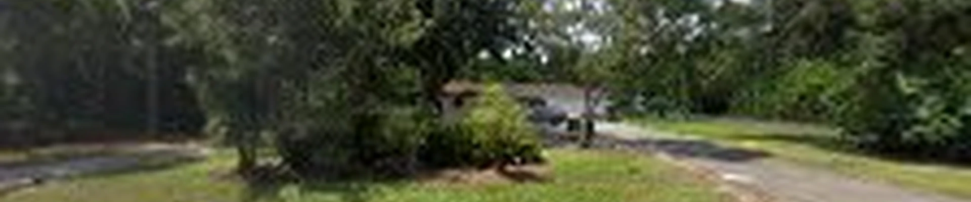 Abraham Tree & Landscaping
