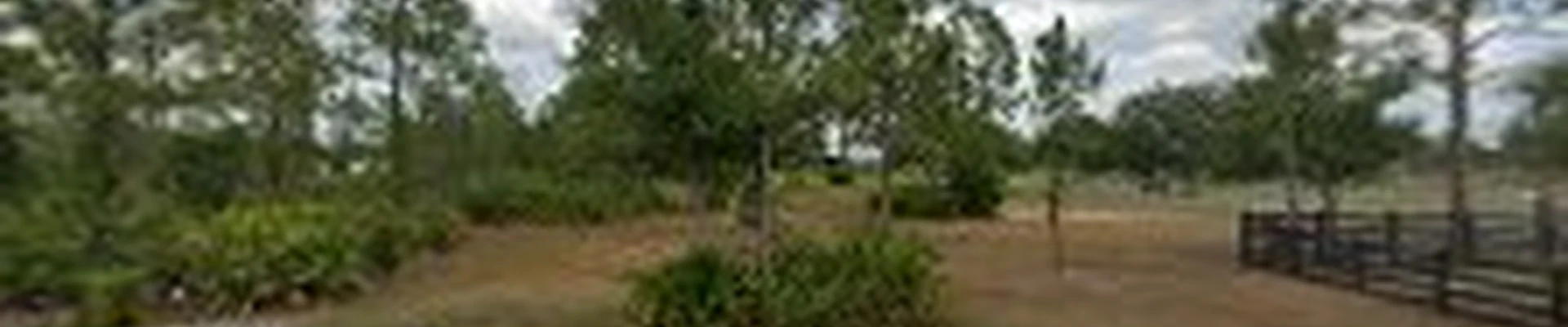 Epic Tree Service