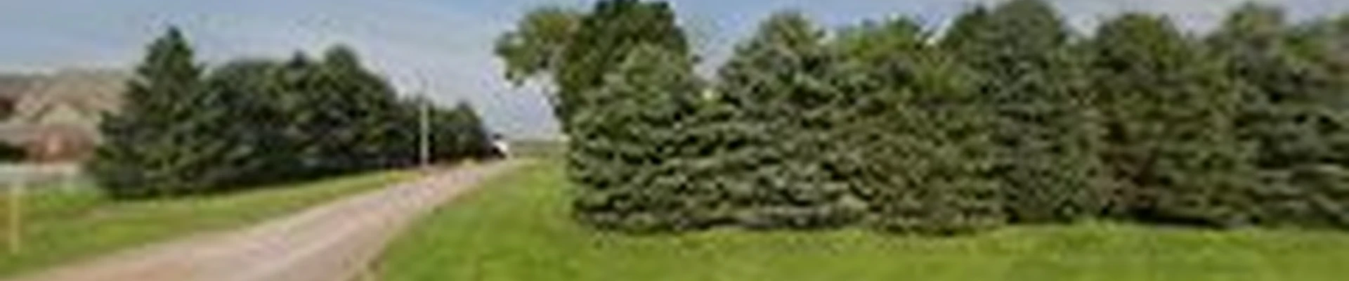 Schwebach Tree Service