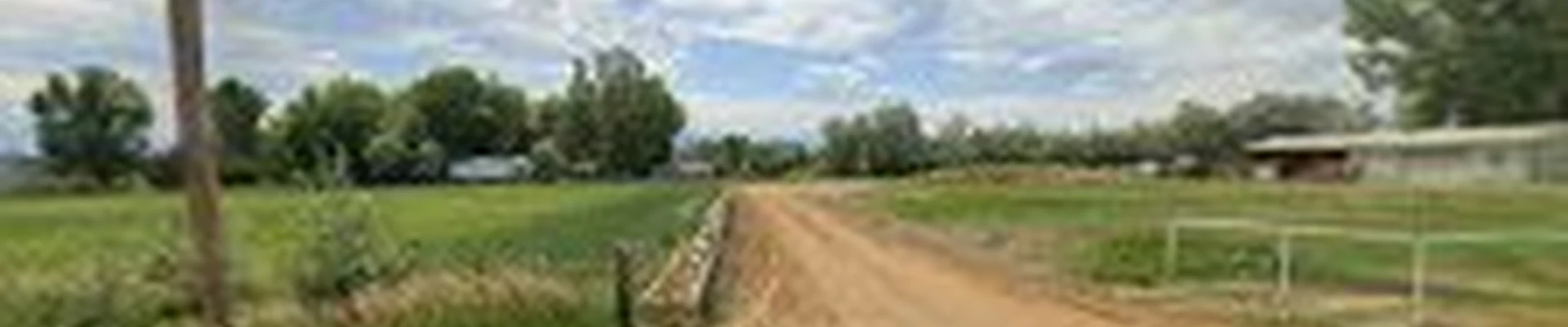 Blue River Forestry & Tree Care