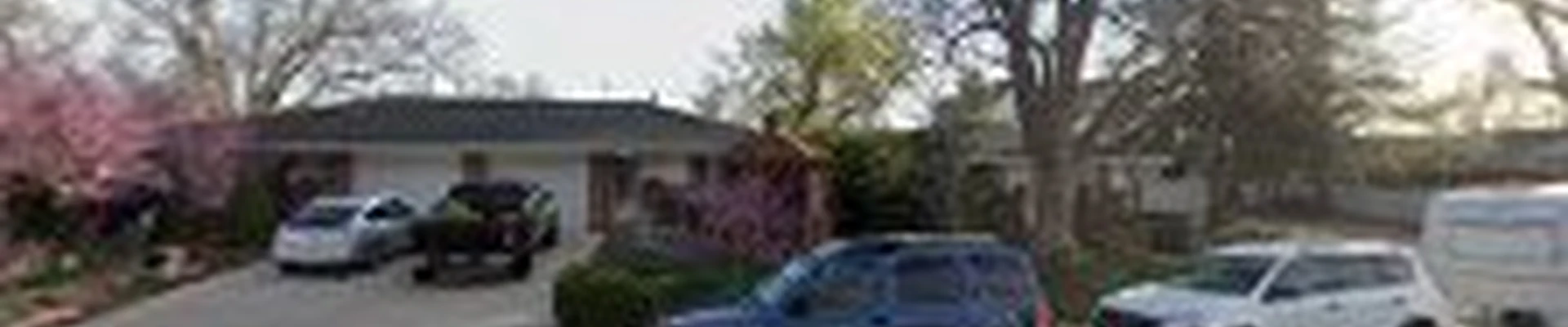 TREES FOR HUMANITY LLC