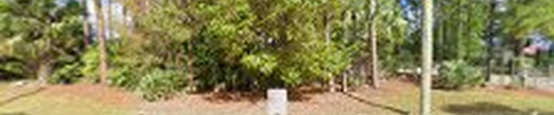 Luckey Environmental Services