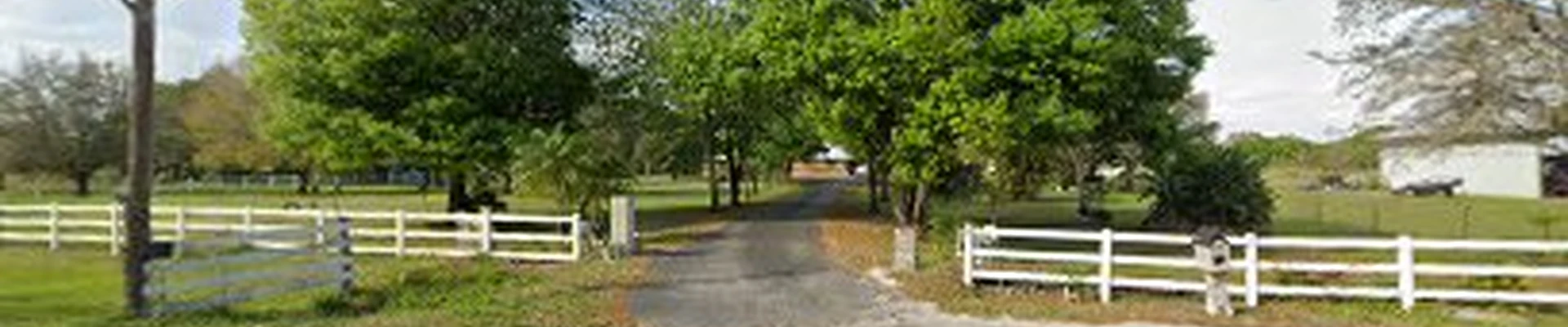 Kenneth Collins Tree Service