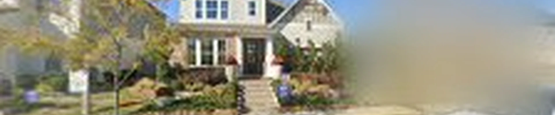 Painted Tree - David Weekley Homes