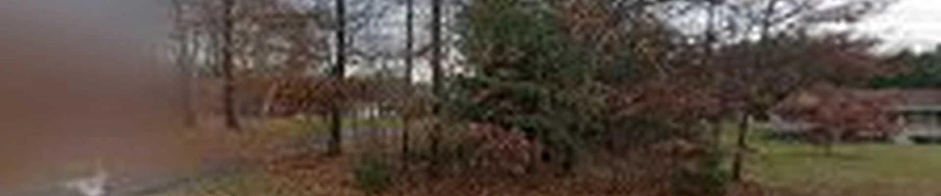 Tree Masters Inc