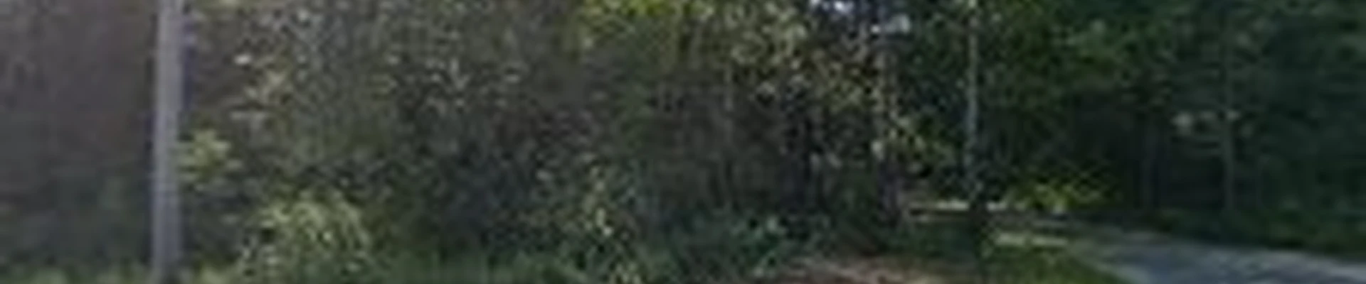 Down to Earth Stump Grinding