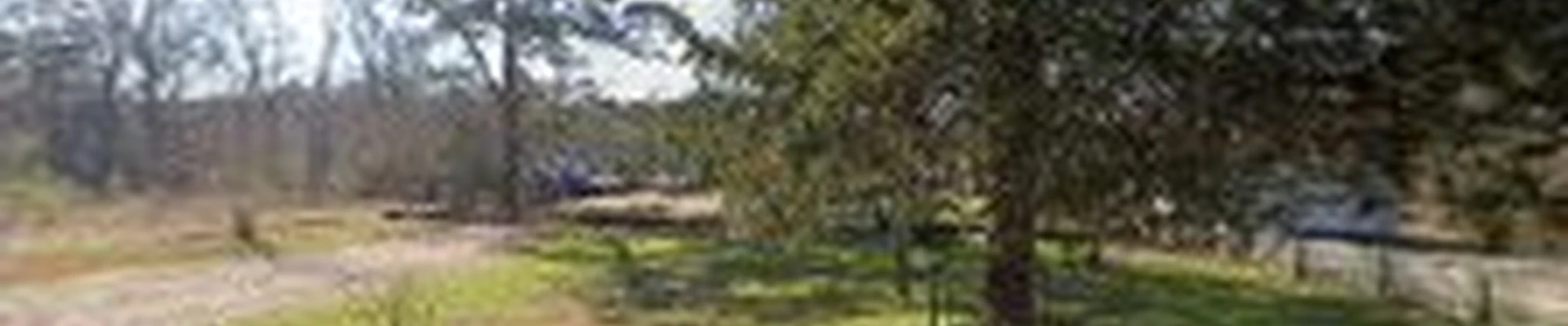 Abrasive Tree Service