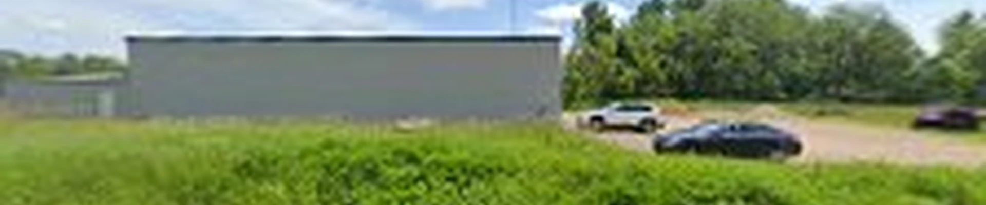 Antigo Arborists Tree Service