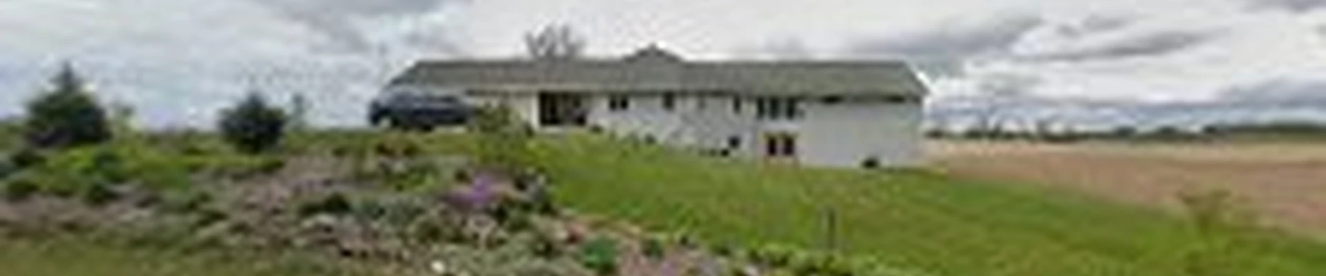 DSH Tree Care