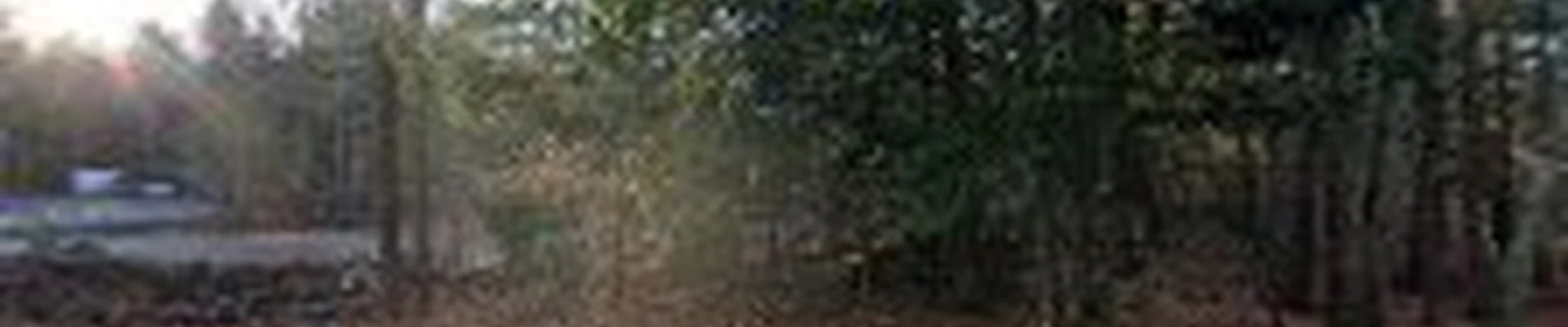 Down East Tree Services LLC