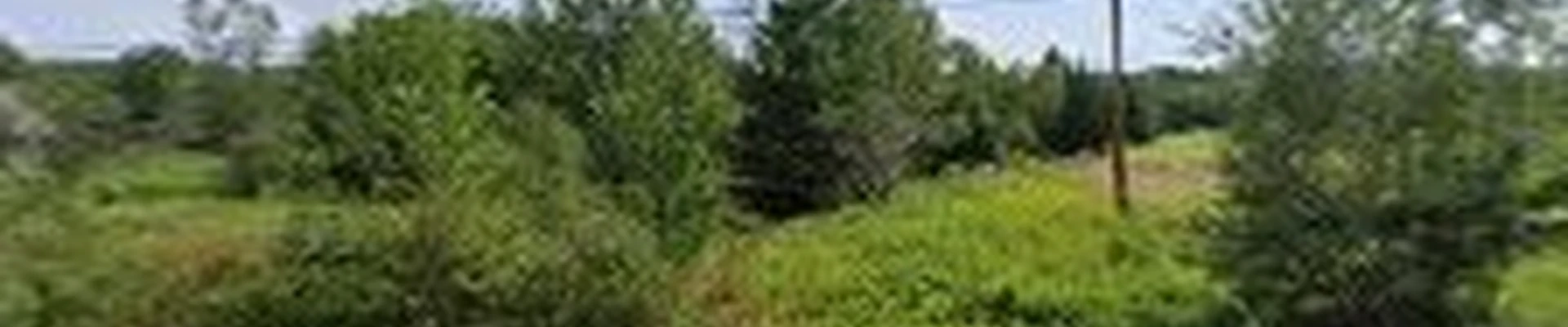 AVA Tree Service