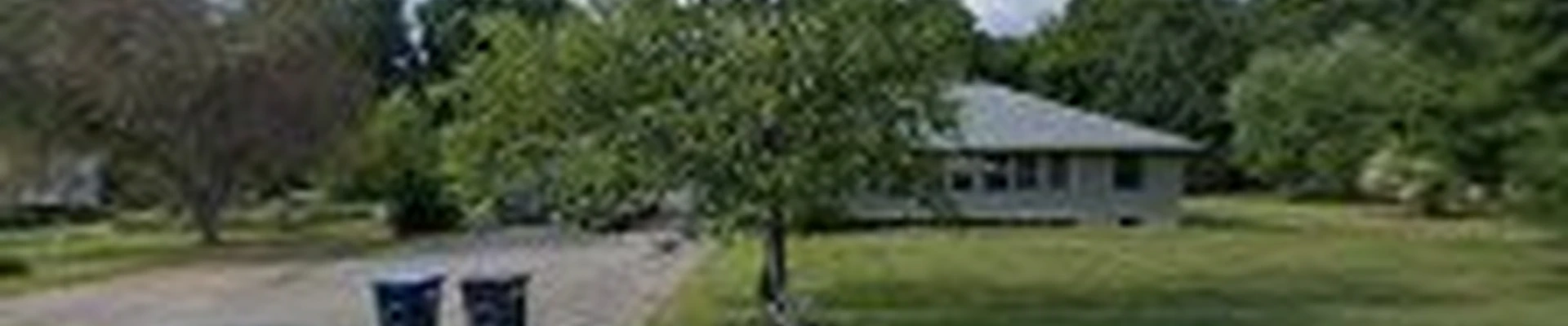 VT Tree Service
