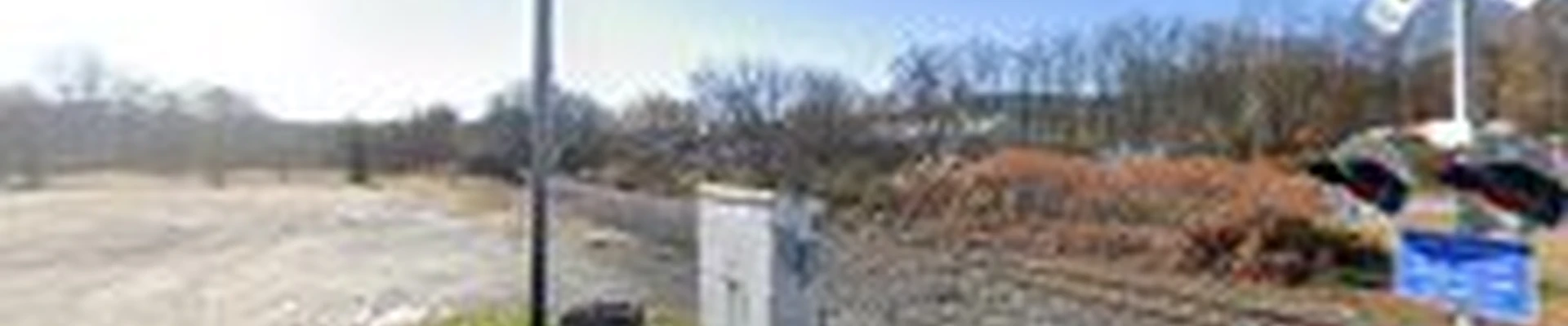 Thomson Tree Service