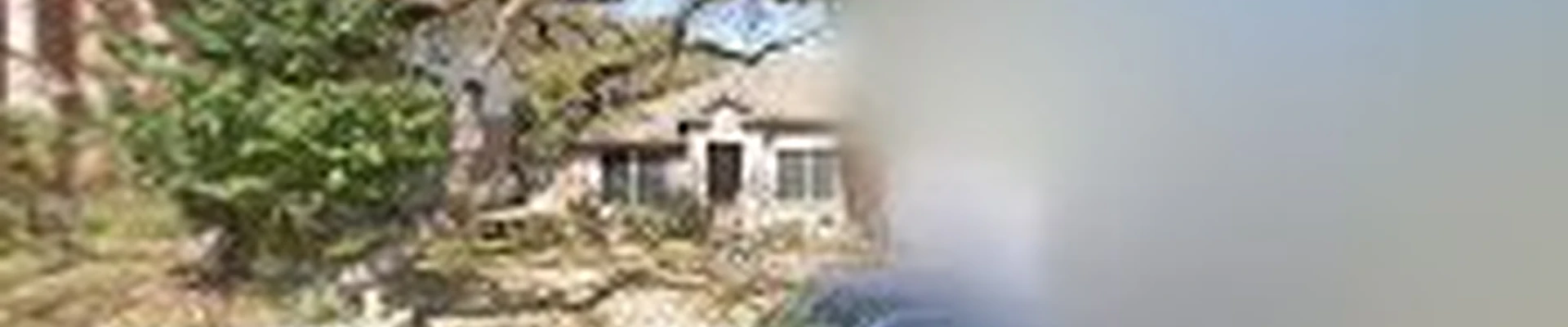Morfin Renovators LLC