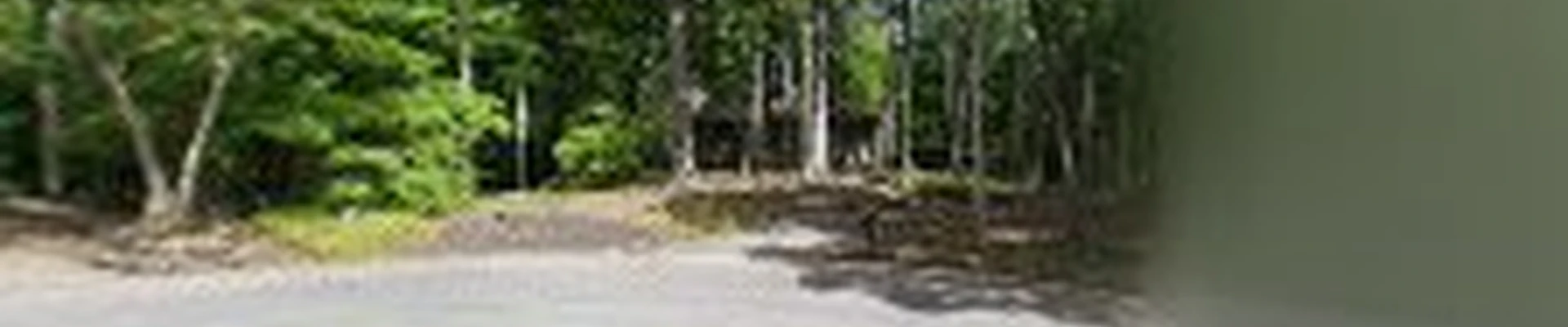 Omega Construction Development Inc
