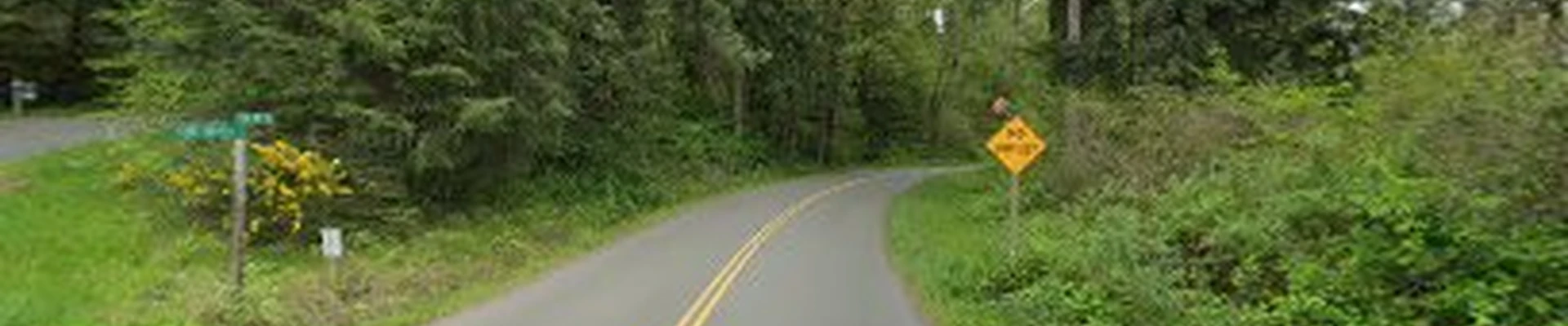 Maple Valley Electrical Services