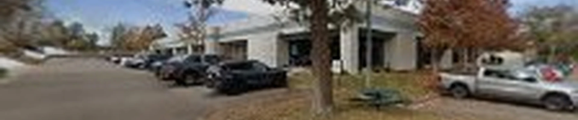 E Light Electric Services, Inc.