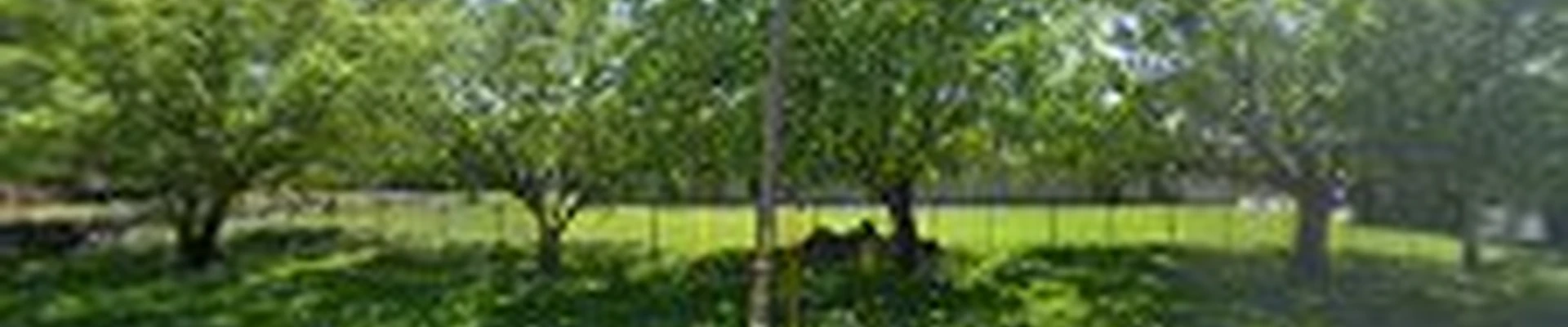 PAR Electrical Contractors Inc