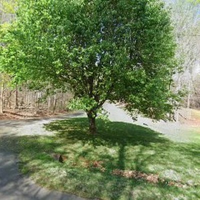 Chappell Electric, LLC